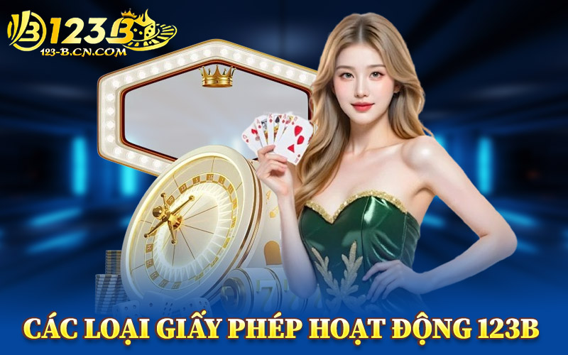 Các Loại Giấy Phép Hoạt Động 123B