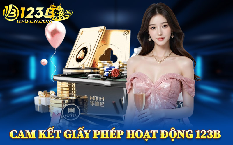 Cam Kết Của Giấy Phép Hoạt Động 123B