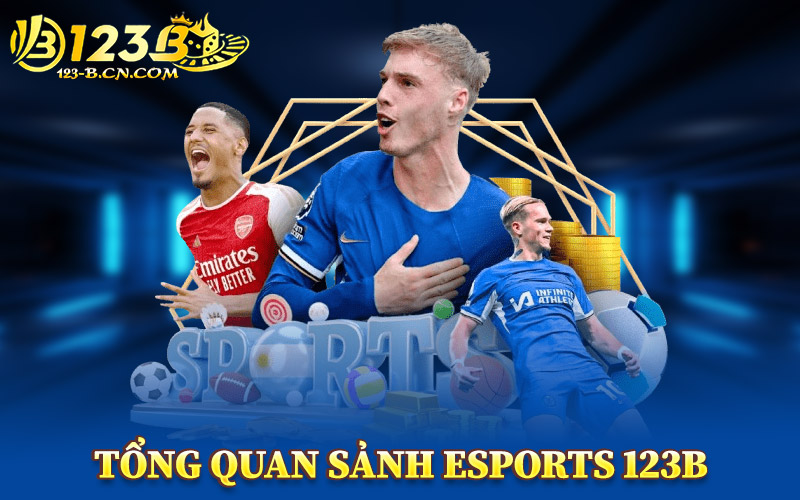 Tổng Quan Sảnh ESports 123B